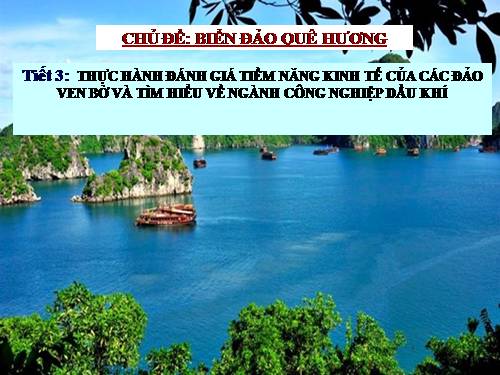 Bài 40. Thực hành: Đánh giá tiềm năng kinh tế của các đảo ven bờ và tìm hiểu về ngành công nghiệp dầu khí