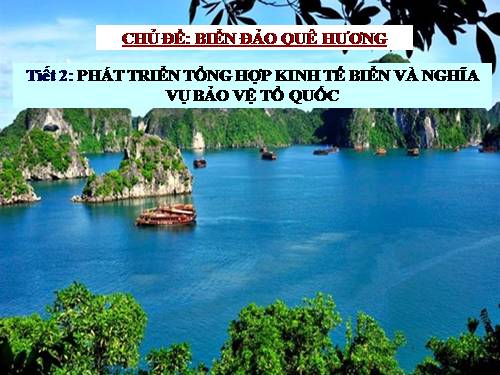 Bài 39. Phát triển tổng hợp kinh tế và bảo vệ tài nguyên, môi trường biển - đảo (tiếp theo)