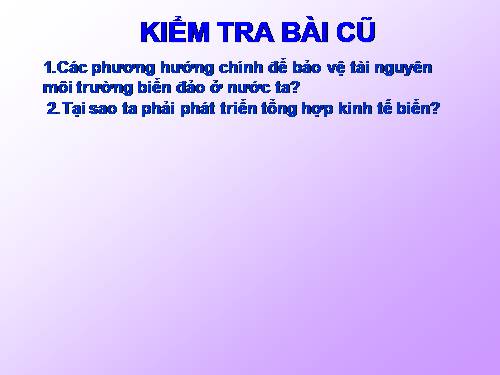 Bài 40. Thực hành: Đánh giá tiềm năng kinh tế của các đảo ven bờ và tìm hiểu về ngành công nghiệp dầu khí