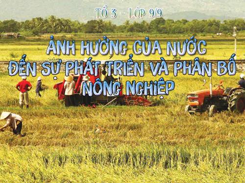 Bài 7. Các nhân tố ảnh hưởng đến sự phát triển và phân bố nông nghiệp