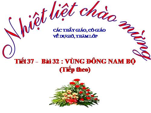 Bài 32. Vùng Đông Nam Bộ (tiếp theo)