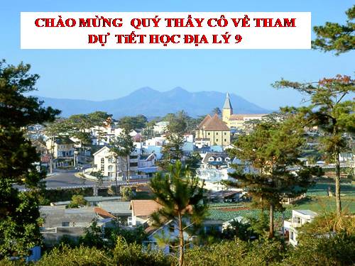 Bài 28. Vùng Tây Nguyên