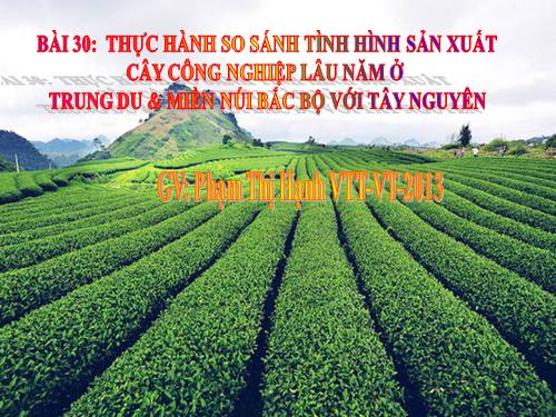 Bài 30. Thực hành: So sánh tình hình sản xuất cây công nghiệp lâu năm ở Trung du và miền núi Bắc Bộ với Tây Nguyên