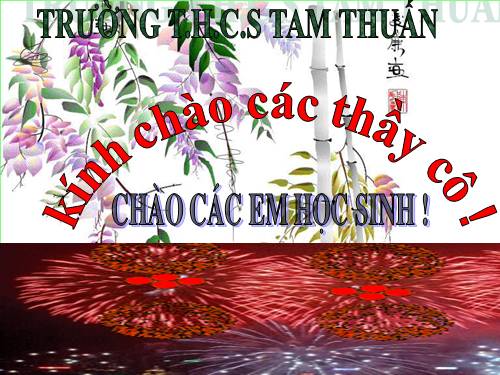 Bài 24. Vùng Bắc Trung Bộ (tiếp theo)