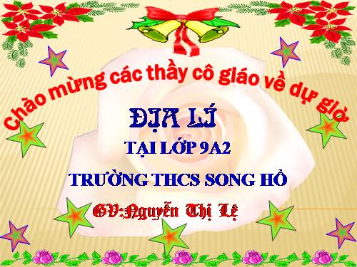 Bài 21. Vùng Đồng bằng sông Hồng (tiếp theo)