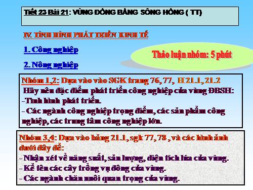 Bài 21. Vùng Đồng bằng sông Hồng (tiếp theo)