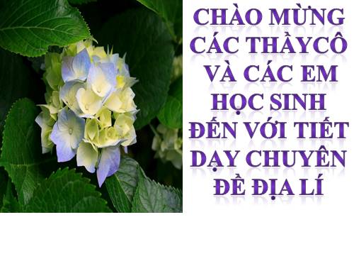 Bài 15. Thương mại và du lịch