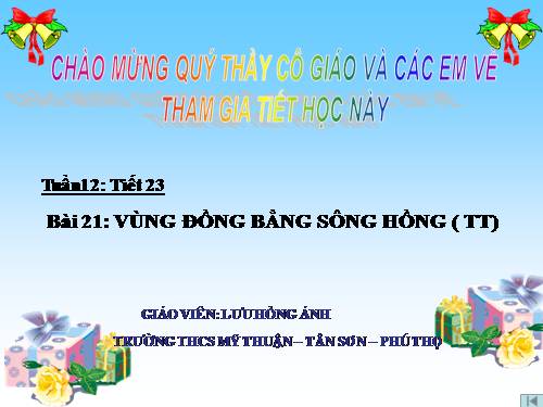 Bài 21. Vùng Đồng bằng sông Hồng (tiếp theo)