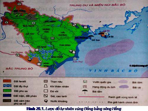 Bài 20. Vùng Đồng bằng sông Hồng