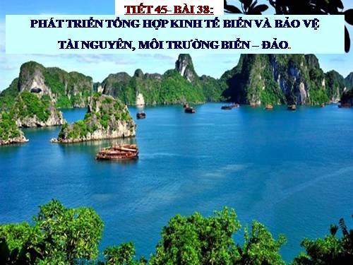 Bài 38. Phát triển tổng hợp kinh tế và bảo vệ tài nguyên, môi trường biển - đảo