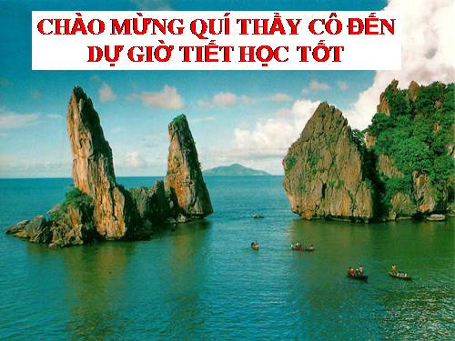 Bài 38. Phát triển tổng hợp kinh tế và bảo vệ tài nguyên, môi trường biển - đảo