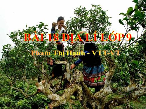 Bài 18. Vùng Trung du và miền núi Bắc Bộ (tiếp theo)