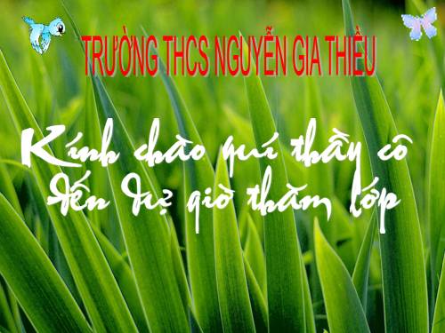 Bài 38. Phát triển tổng hợp kinh tế và bảo vệ tài nguyên, môi trường biển - đảo