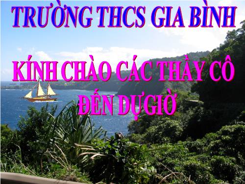 Bài 40. Thực hành: Đánh giá tiềm năng kinh tế của các đảo ven bờ và tìm hiểu về ngành công nghiệp dầu khí