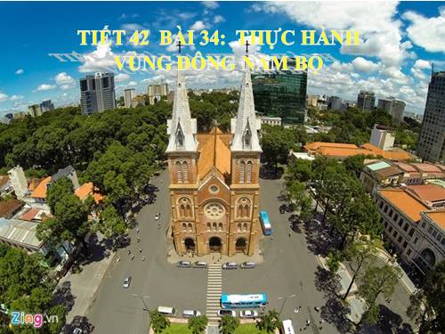 Bài 34. Thực hành: Phân tích một số ngành công nghiệp trọng điểm ở Đông Nam Bộ