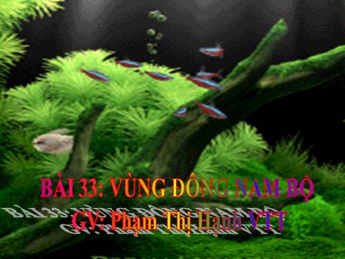 Bài 33. Vùng Đông Nam Bộ (tiếp theo)