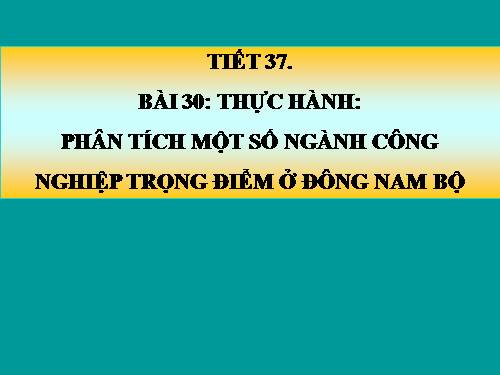 Bài 34. Thực hành: Phân tích một số ngành công nghiệp trọng điểm ở Đông Nam Bộ