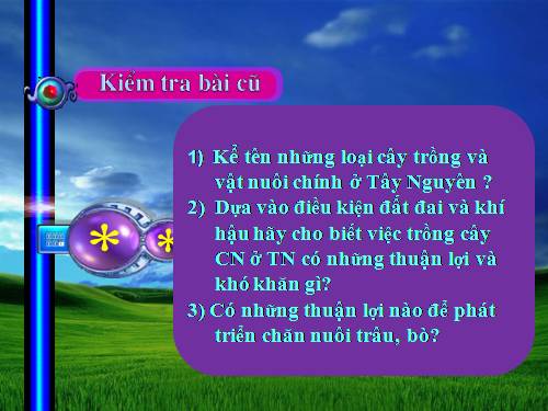 Bài 29. Vùng Tây Nguyên (tiếp theo)