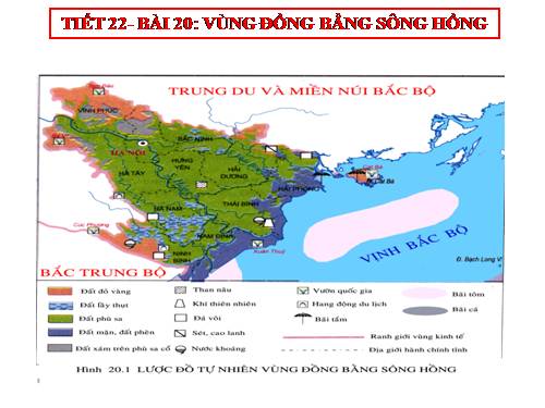 Bài 20. Vùng Đồng bằng sông Hồng