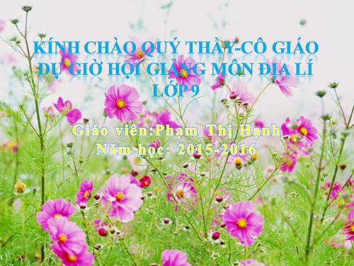 Bài 16. Thực hành: Vẽ biểu đồ về sự thay đổi cơ cấu kinh tế