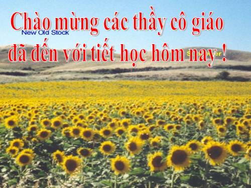 Bài 38. Phát triển tổng hợp kinh tế và bảo vệ tài nguyên, môi trường biển - đảo