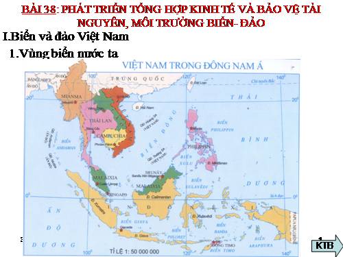 Bài 38. Phát triển tổng hợp kinh tế và bảo vệ tài nguyên, môi trường biển - đảo