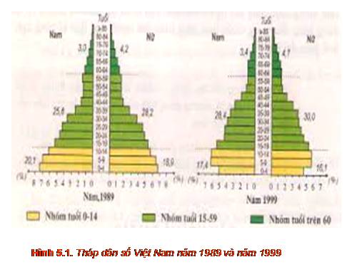 Bài 5. Thực hành: Phân tích và so sánh tháp dân số năm 1989 và năm 1999