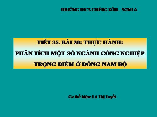 Bài 34. Thực hành: Phân tích một số ngành công nghiệp trọng điểm ở Đông Nam Bộ