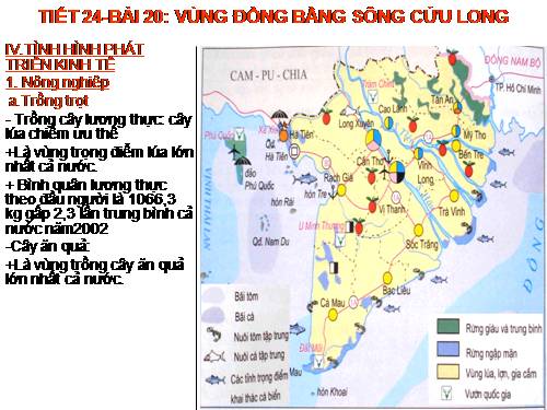 Bài 36. Vùng Đồng bằng sông Cửu Long (tiếp theo)