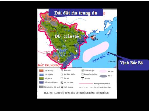 Bài 21. Vùng Đồng bằng sông Hồng (tiếp theo)