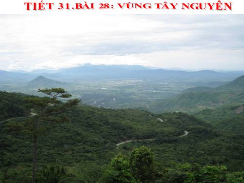 Bài 28. Vùng Tây Nguyên