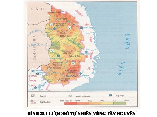 Bài 28. Vùng Tây Nguyên