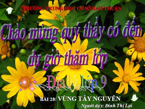 Bài 28. Vùng Tây Nguyên