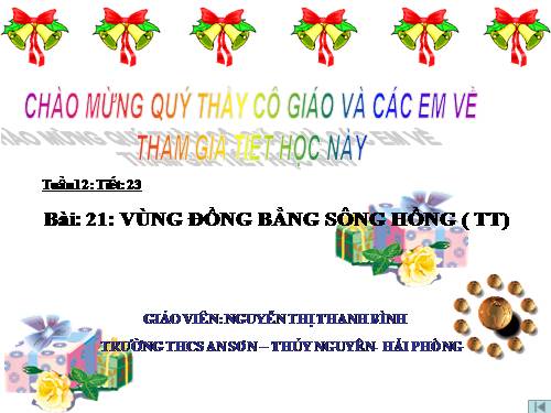 Bài 21. Vùng Đồng bằng sông Hồng (tiếp theo)