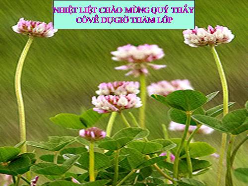 Bài 5. Thực hành: Phân tích và so sánh tháp dân số năm 1989 và năm 1999