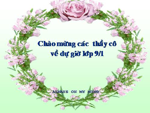 Bài 36. Vùng Đồng bằng sông Cửu Long (tiếp theo)