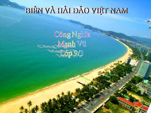 Bài 38. Phát triển tổng hợp kinh tế và bảo vệ tài nguyên, môi trường biển - đảo