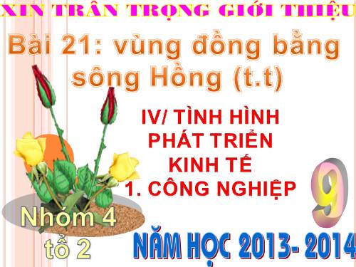 Bài 21. Vùng Đồng bằng sông Hồng (tiếp theo)