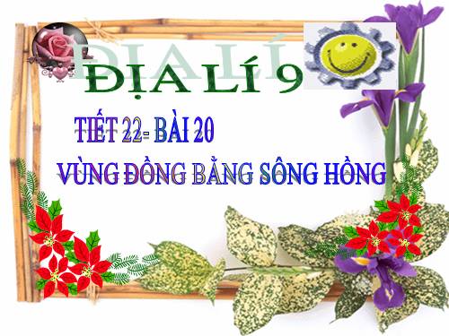 Bài 20. Vùng Đồng bằng sông Hồng