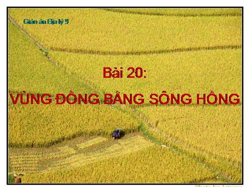 Bài 20. Vùng Đồng bằng sông Hồng