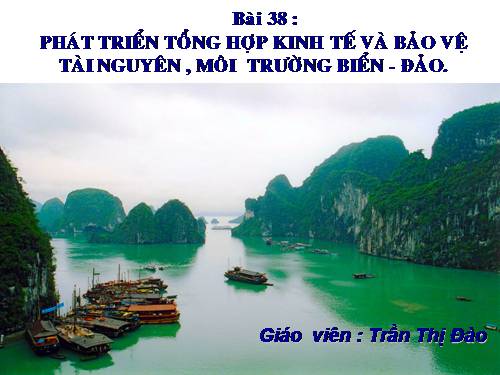 Bài 38. Phát triển tổng hợp kinh tế và bảo vệ tài nguyên, môi trường biển - đảo