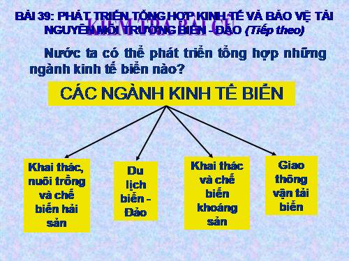 Bài 39. Phát triển tổng hợp kinh tế và bảo vệ tài nguyên, môi trường biển - đảo (tiếp theo)