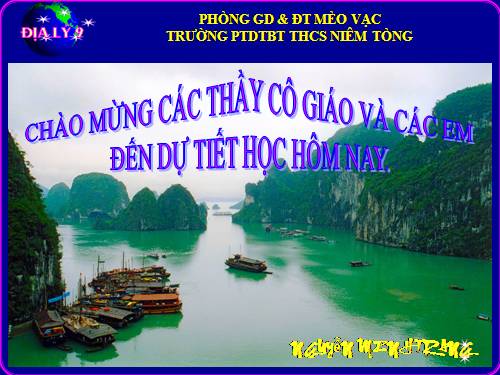 Bài 38. Phát triển tổng hợp kinh tế và bảo vệ tài nguyên, môi trường biển - đảo