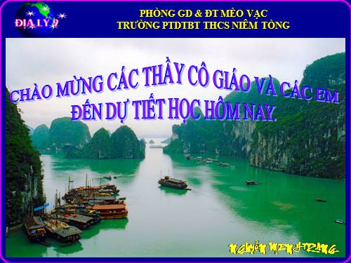 Bài 38. Phát triển tổng hợp kinh tế và bảo vệ tài nguyên, môi trường biển - đảo