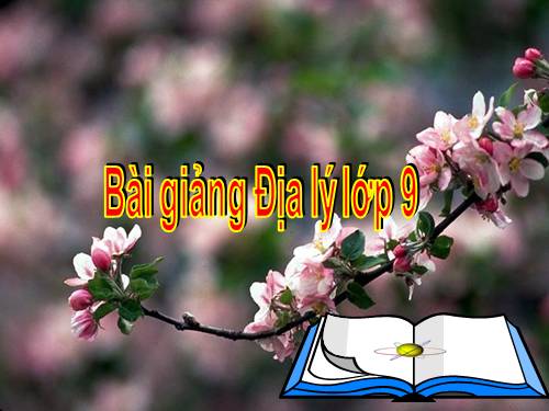 Bài 39. Phát triển tổng hợp kinh tế và bảo vệ tài nguyên, môi trường biển - đảo (tiếp theo)