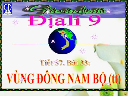 Bài 33. Vùng Đông Nam Bộ (tiếp theo)