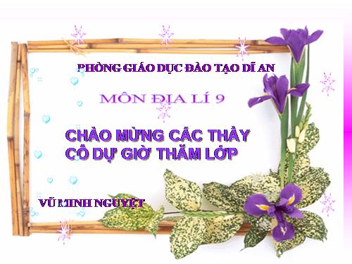 Bài 40. Thực hành: Đánh giá tiềm năng kinh tế của các đảo ven bờ và tìm hiểu về ngành công nghiệp dầu khí