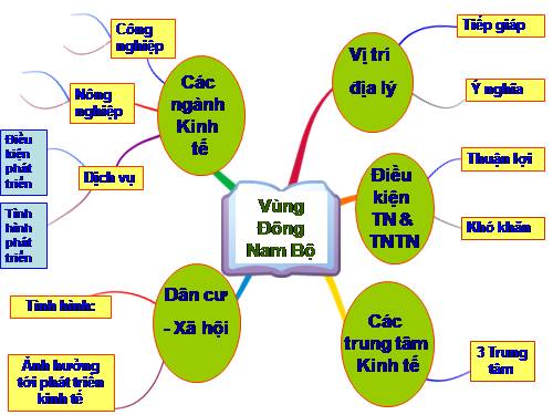 Bản đồ tư duy tiết ôn tập