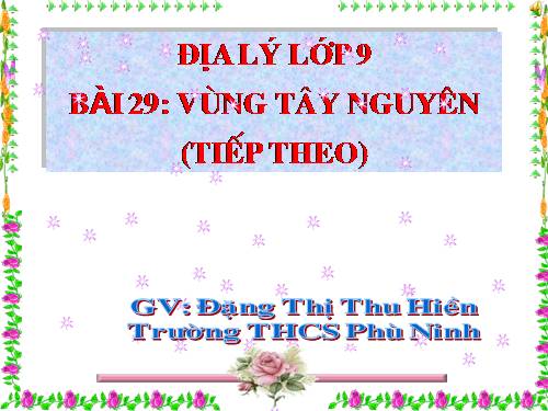 Bài 29. Vùng Tây Nguyên (tiếp theo)