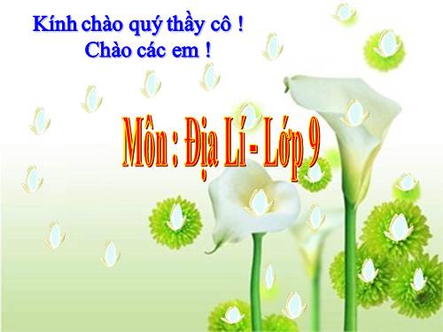 Bài 18. Vùng Trung du và miền núi Bắc Bộ (tiếp theo)